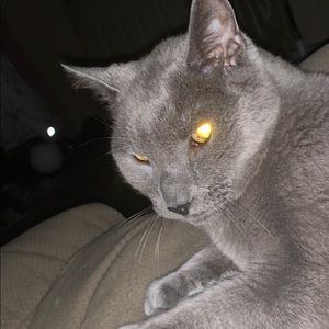 Meet your Posher, Kylie